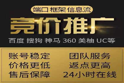 百度SEO推广策略案例：一家公司的成功转型之路
